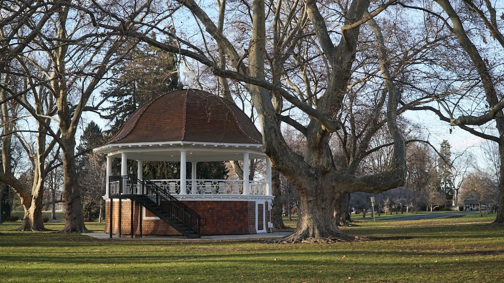 Monitoring Tree Health in Your Landscape.