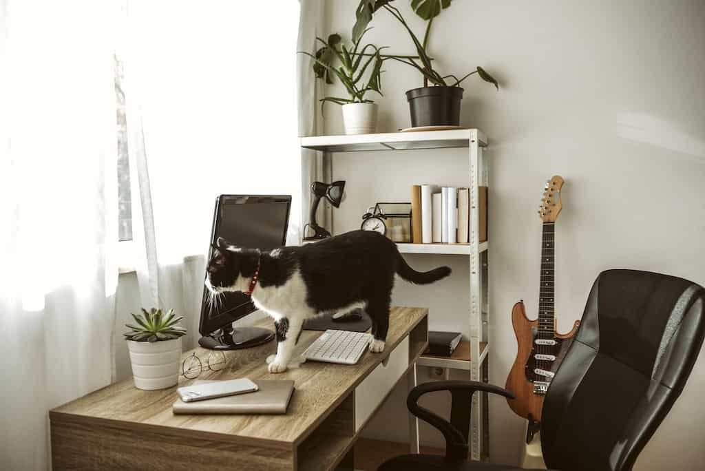 Functional Home Office
