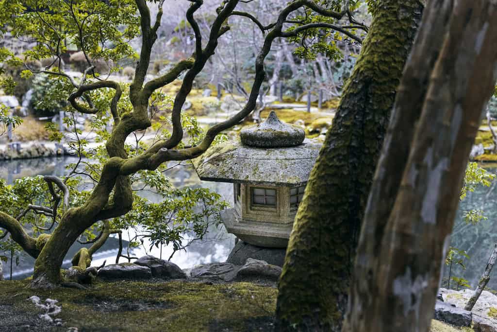 Solutions For Shady Gardens
