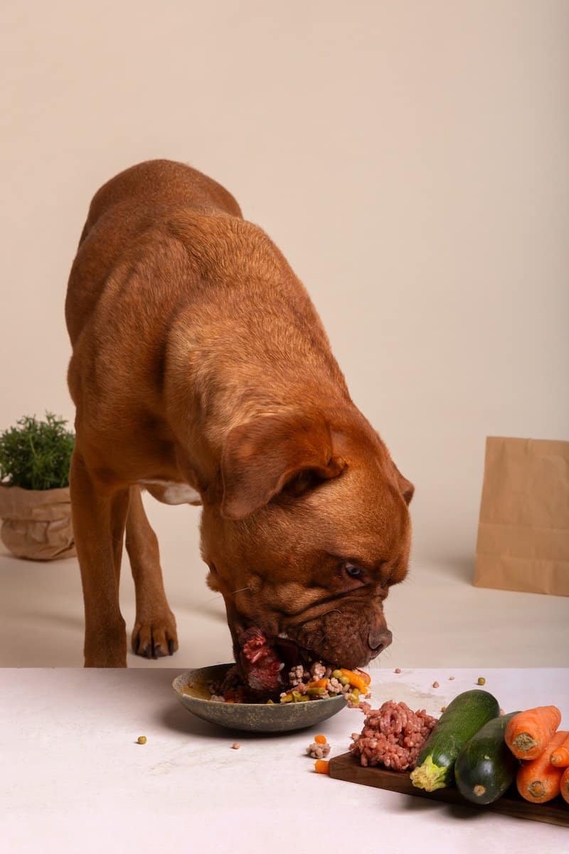 Raw Dog Food.