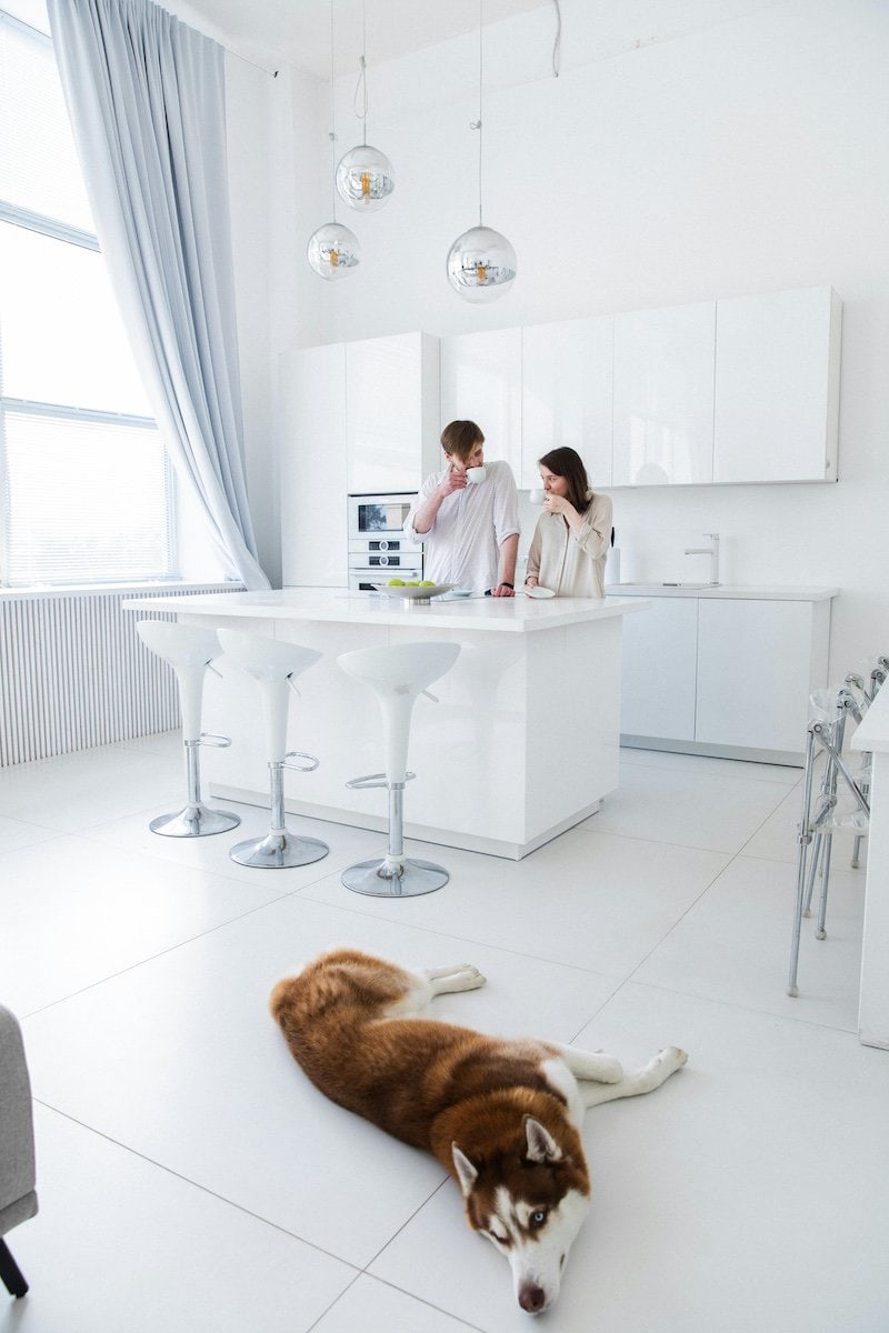 Family-Friendly Kitchen Design | Husband, wife and family dog in the kitchen.