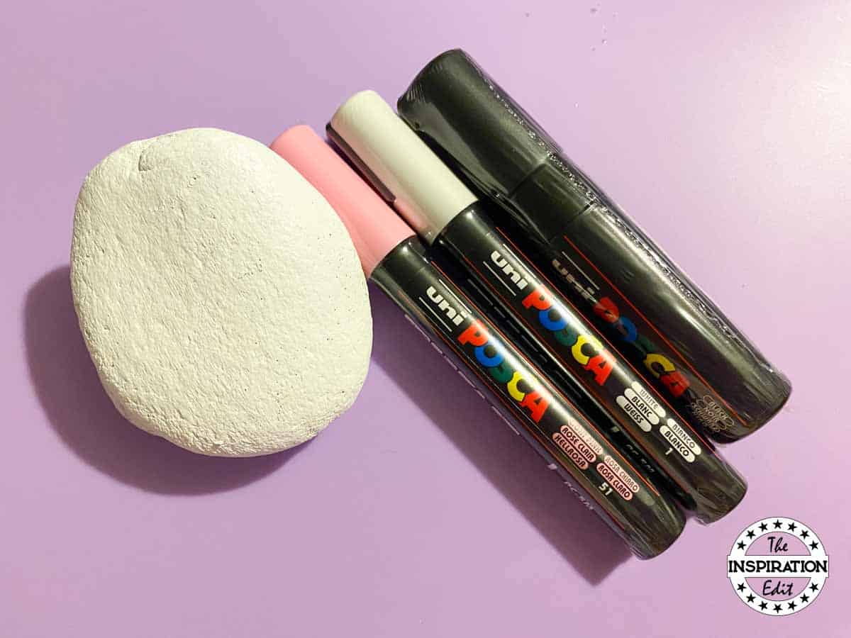 supplies for painting a flamingo on a rock. 