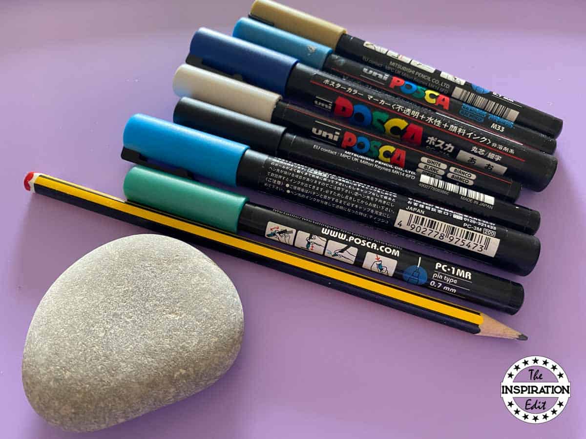 painting supplies for painting a fish on a rock. 