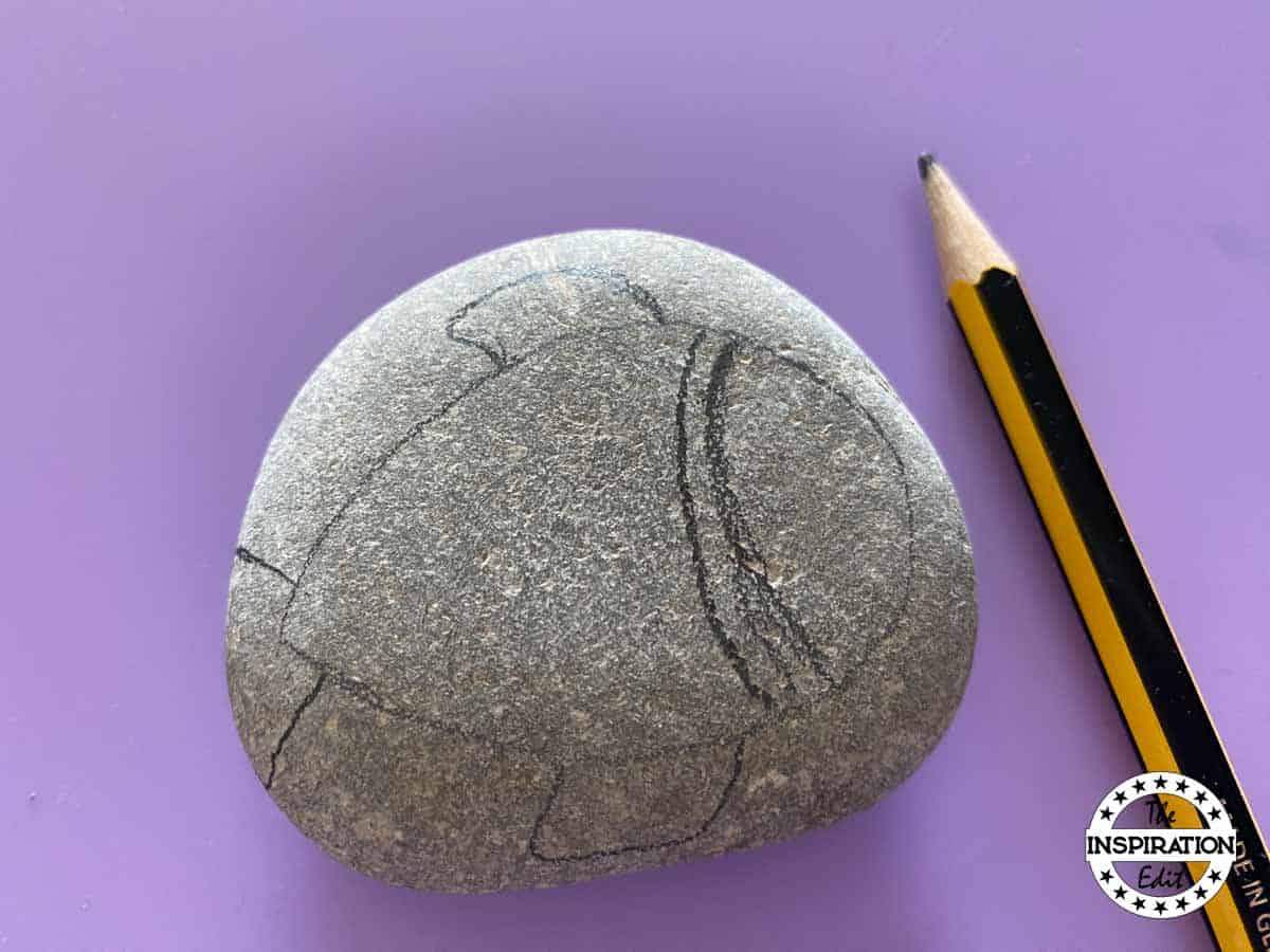 fish outline on a rock.