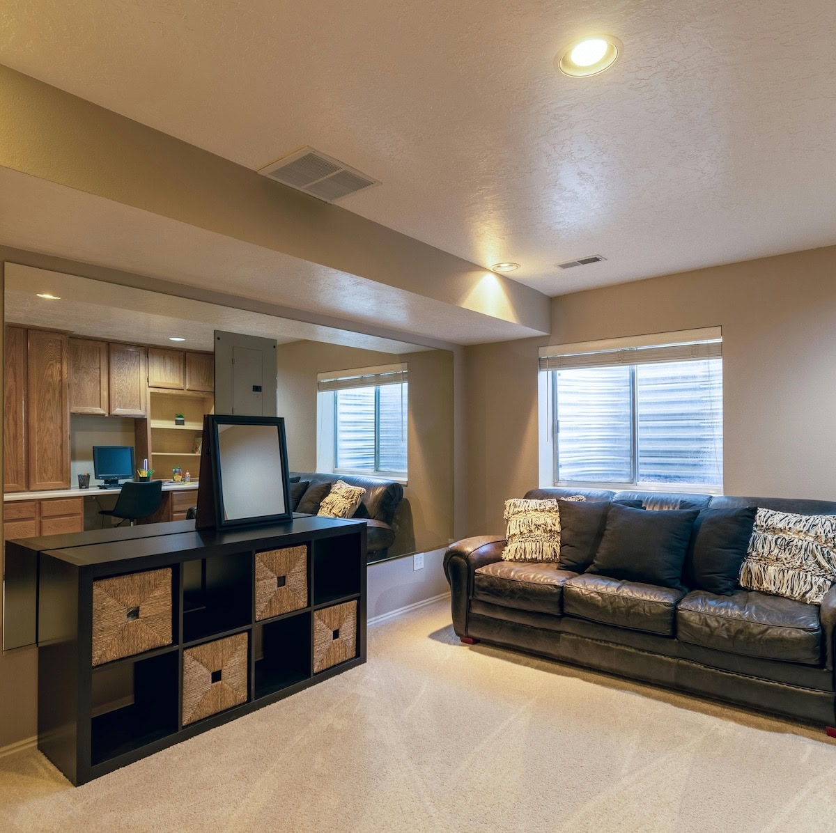 Basement into a Functional Living Space.