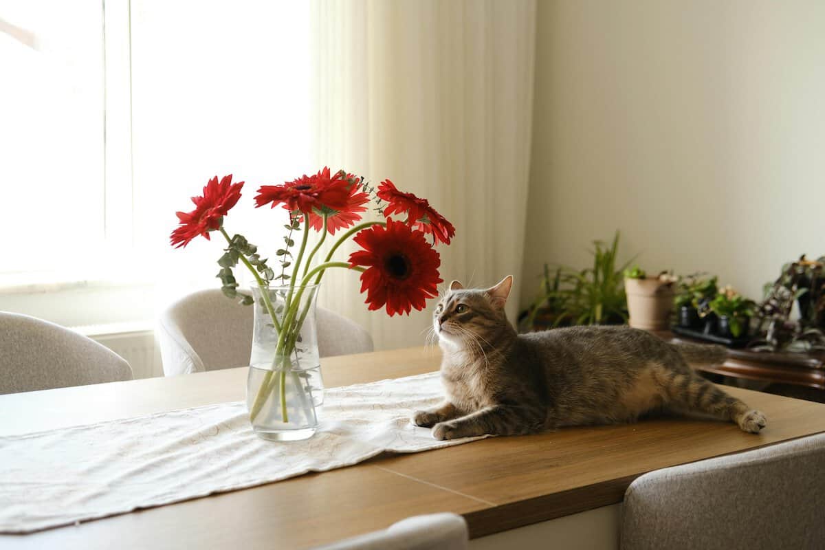 Give Your Home A Refresh.
