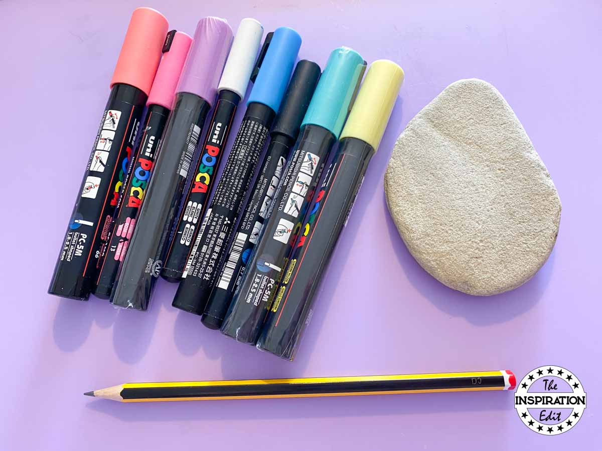 supplies for painting cat on a rock.