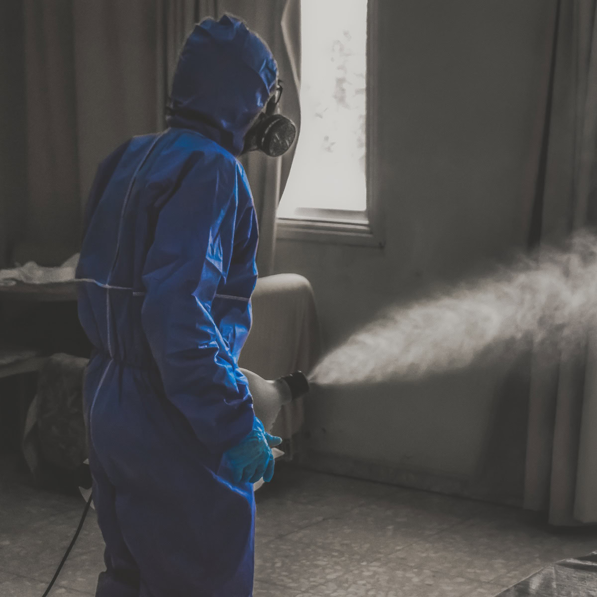 Best Mold Removal Service.