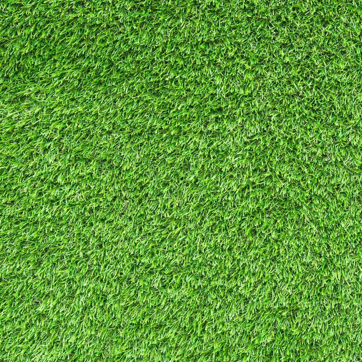 Pet-Friendly Artificial Grass Options.