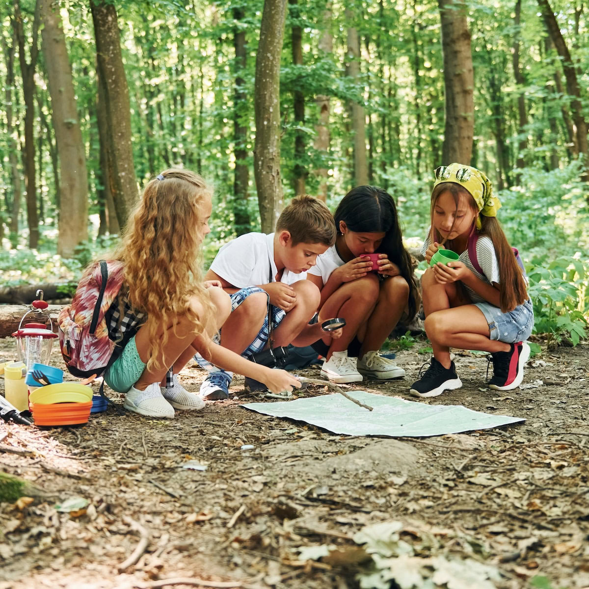 Which Summer Camp Fits.
