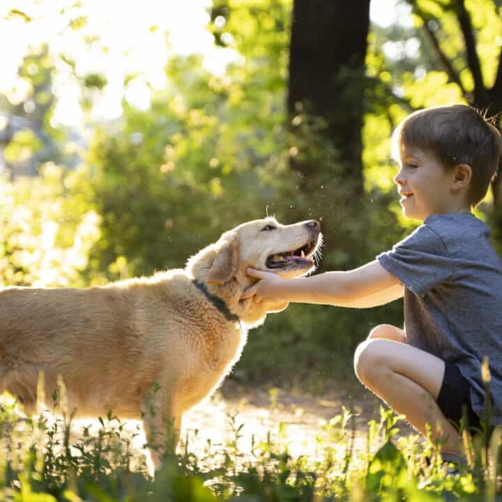 Safely Interact with Dogs | A young boy with this dog.