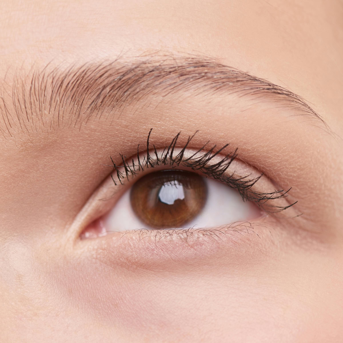 Long Does Brow Serum Take | Close up of a woman's Eye. 