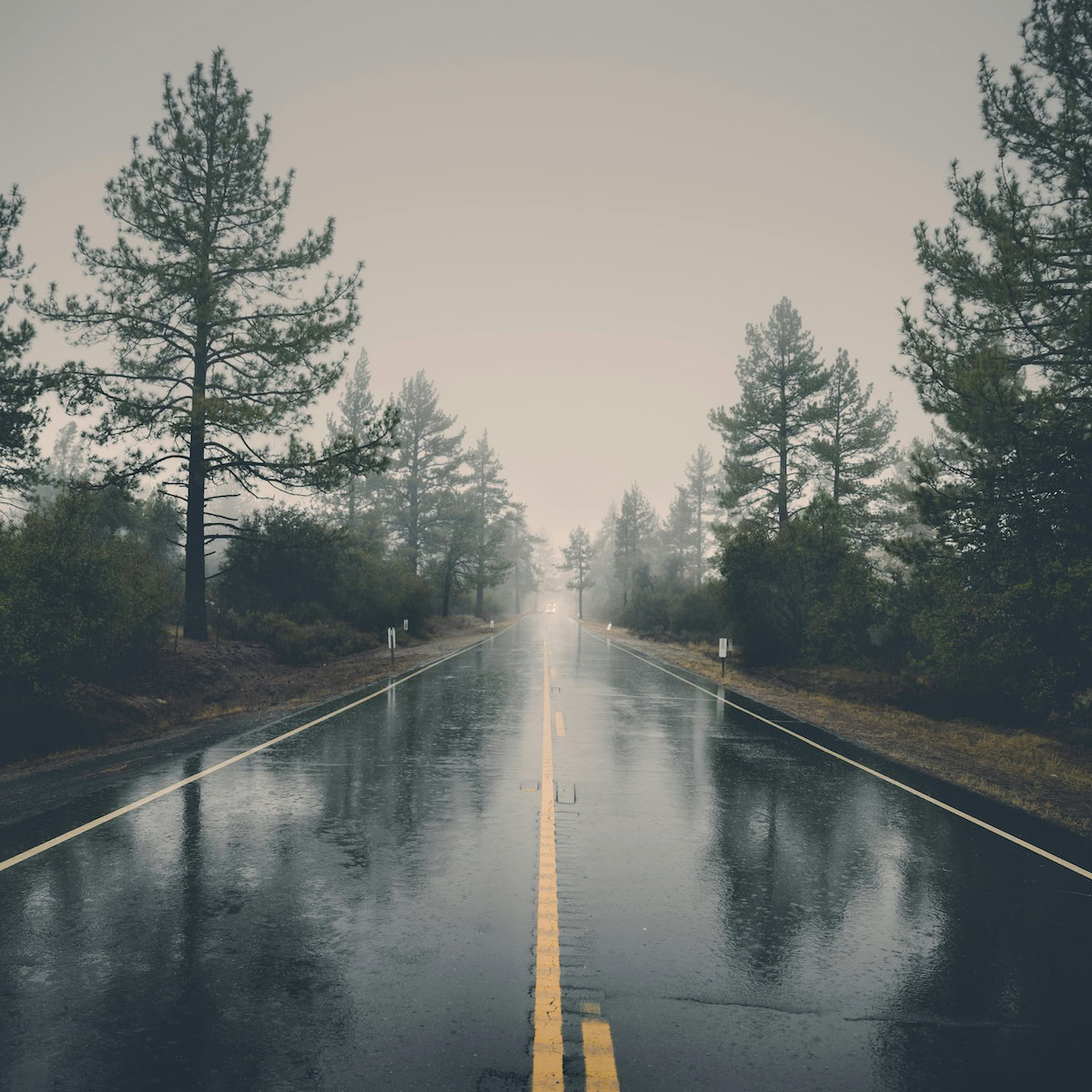 Stress-Free Family Road Trip | Yellow lines in the middle of road while its raining.