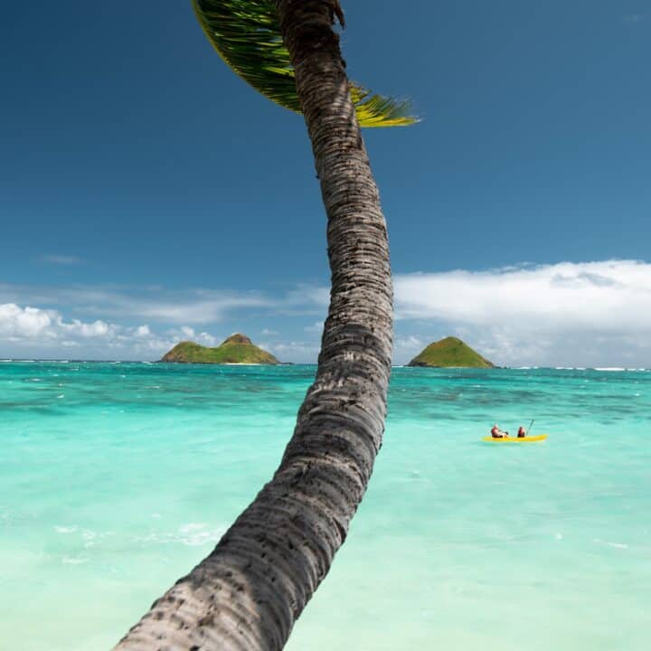 Island Travel Should Be on Everyone’s Bucket List.