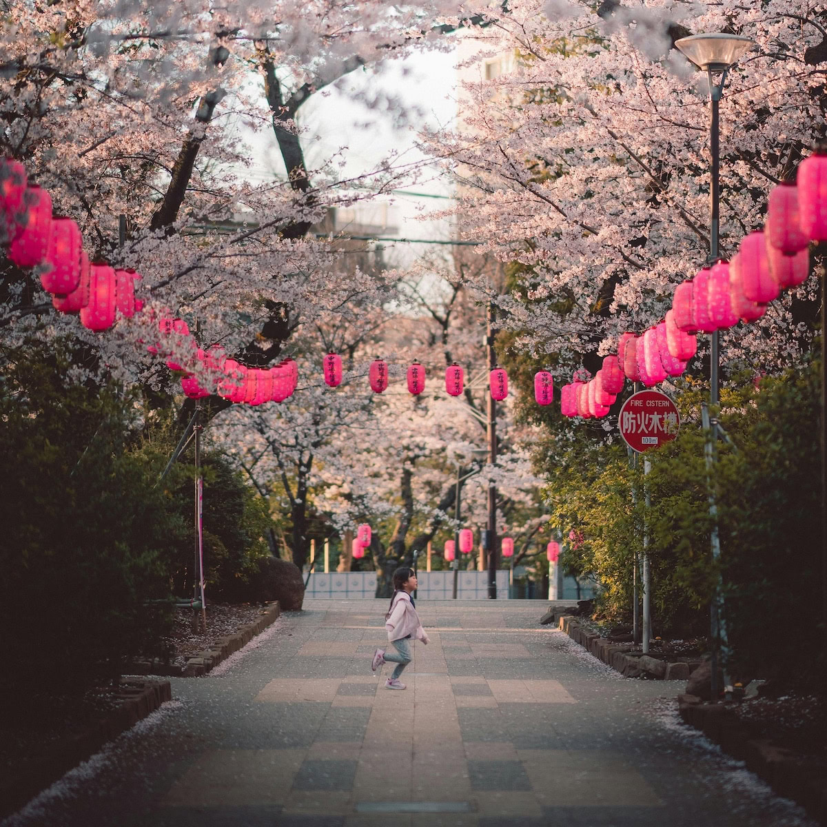 Family Friendly Places to See in Japan.