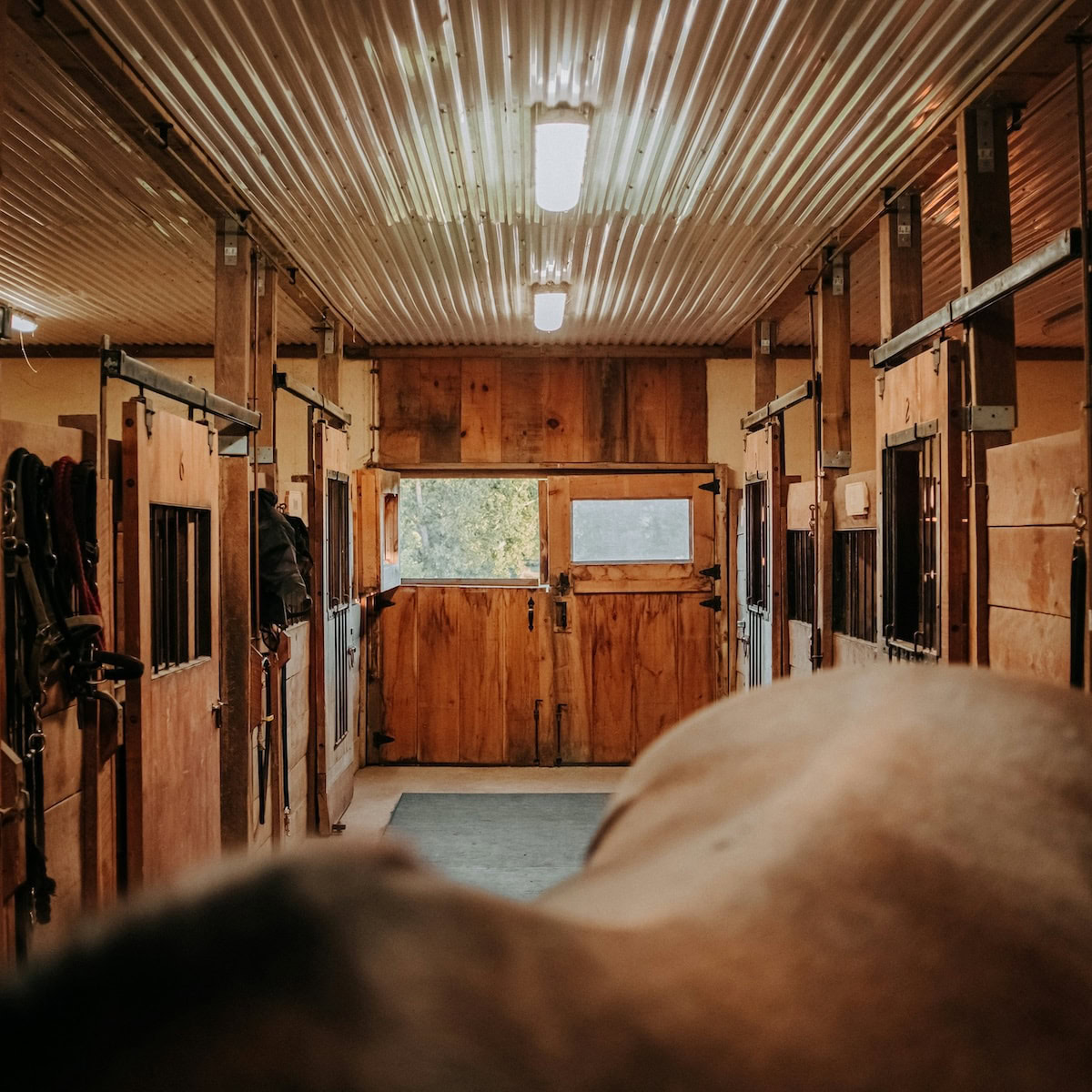 Seasonal Changes Affect Tack Room Organization Needs.
