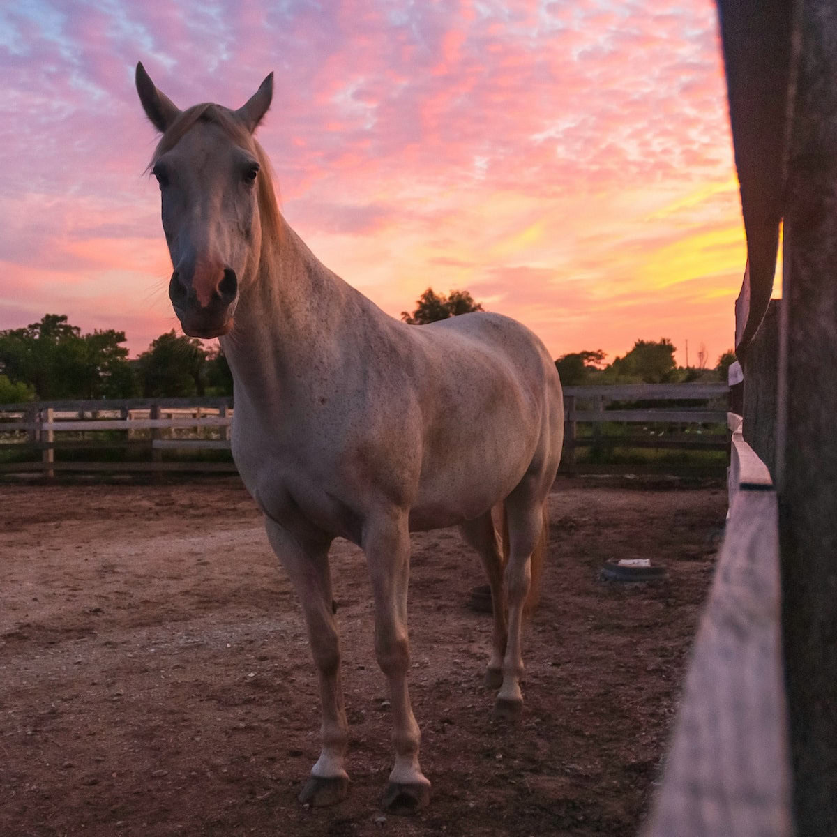 Seasonal Changes Affect Tack Room Organization Needs.