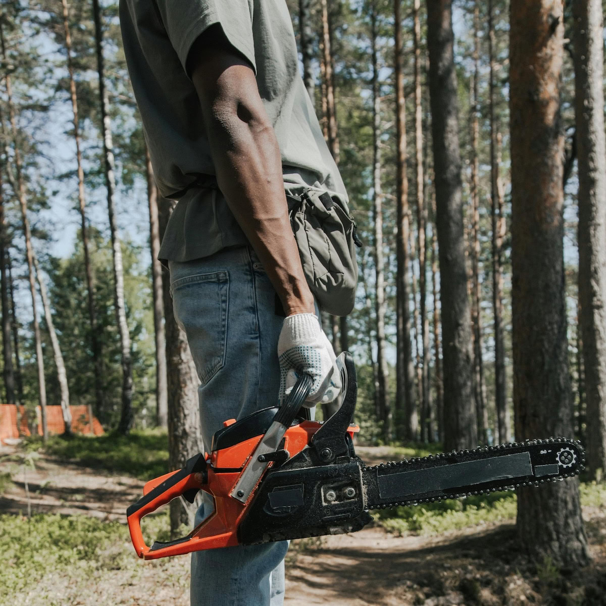 Reasons Why You Need to Hire an Arborist.