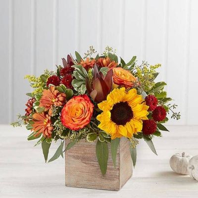 <ul>
 	<li>Perfect gift for delivery to the homes of family members or friends</li>
 	<li>Our florists hand-design each arrangement, so colors, varieties, and container may vary due to local availability</li>
</ul>