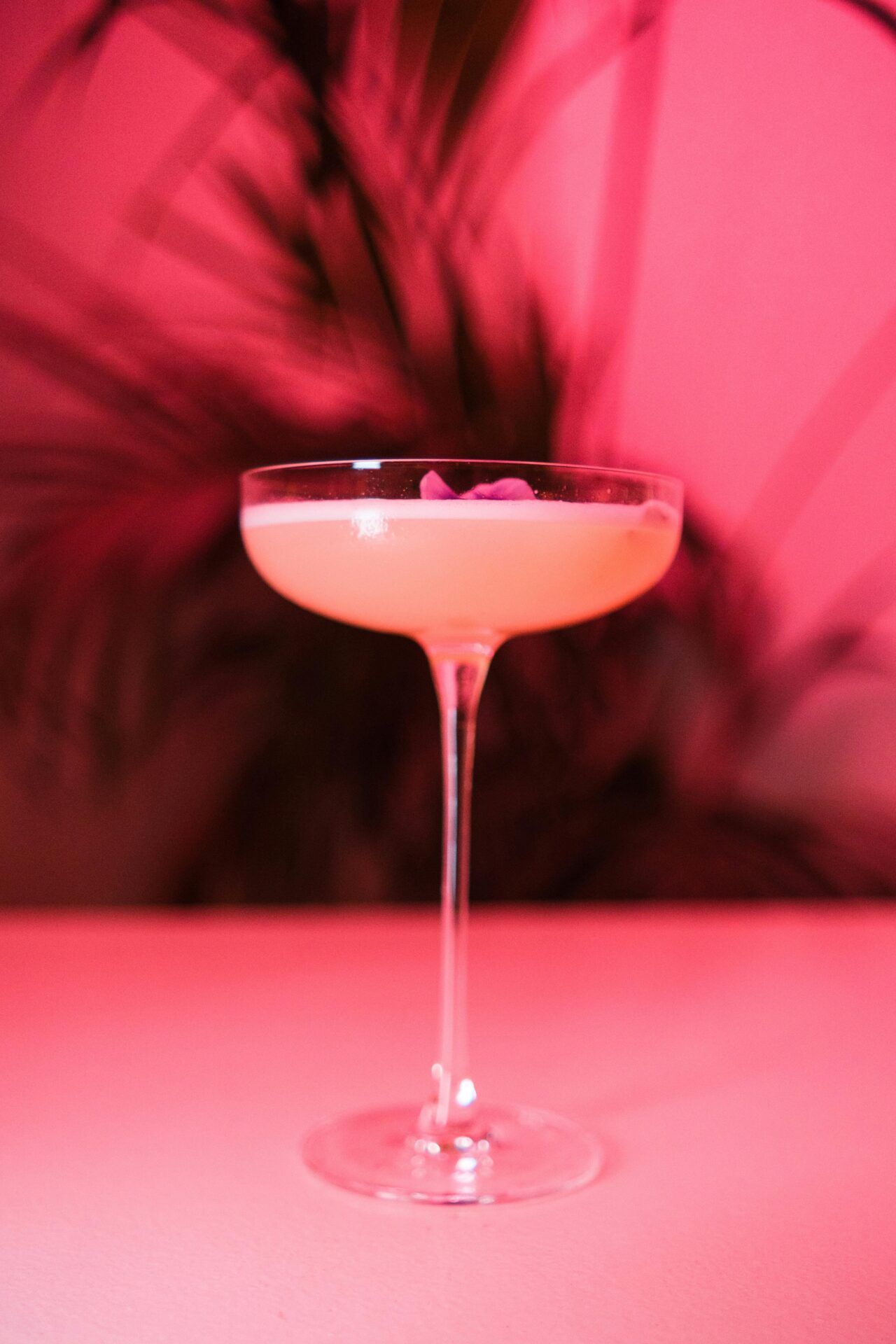 Best valentines day cocktail recipes