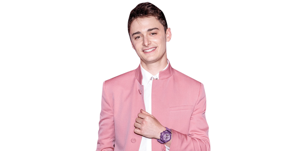 noah schnapp in pink dress Men in Dresses: Finn Wolfhard and Noah Schnapp