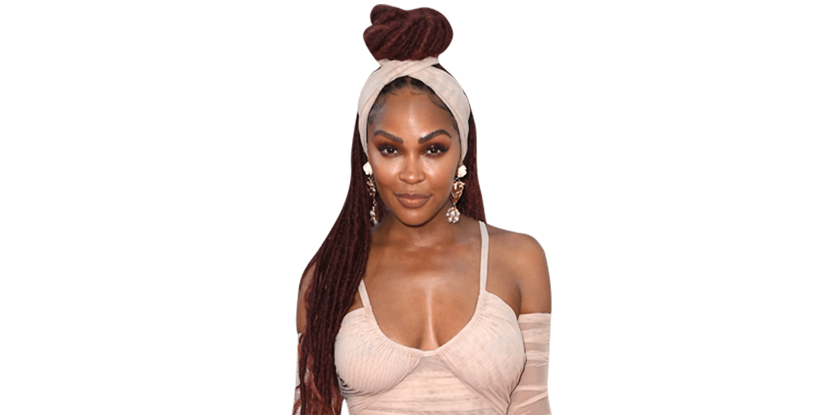 Meagan Good (Pink Dress) Half Body Buddy - Celebrity Cutouts