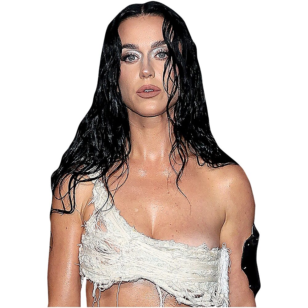 katy perry cut out dress Katy Perry Leaves Little to the Imagination in Cut-Out Dress at Vogue  World: Paris