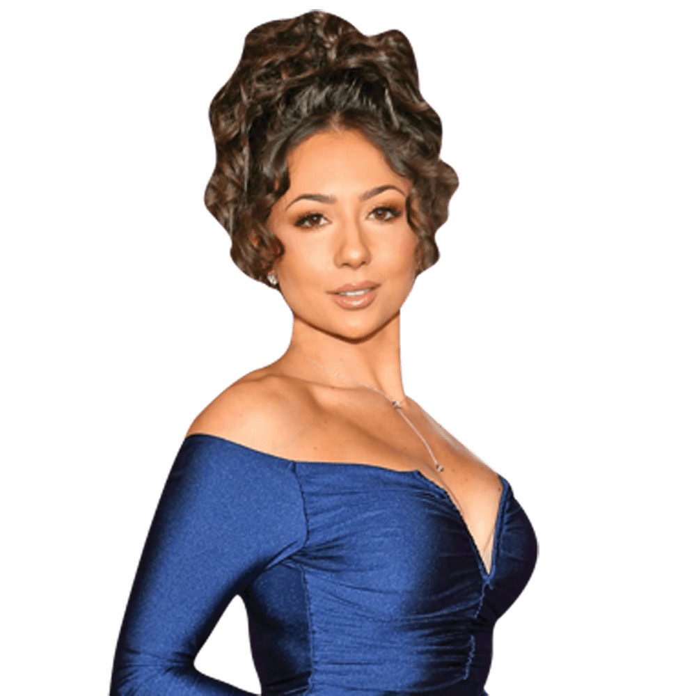 ashley blue dress Retrofte Ashley Mini Dress