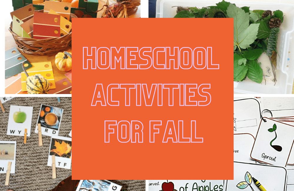 Fall Homeschool Activities