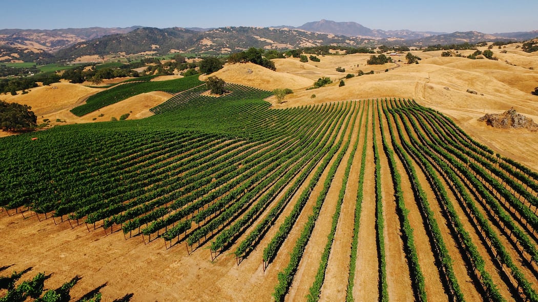 west coast winemaking
