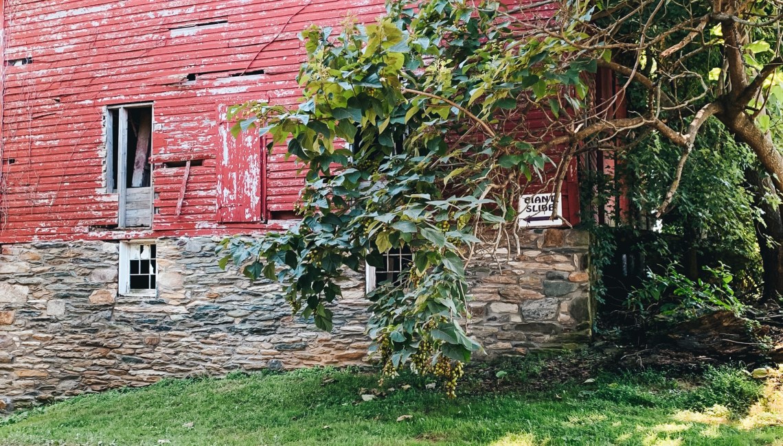 Red barn at Great Country Farms. Fun things to do in VA.