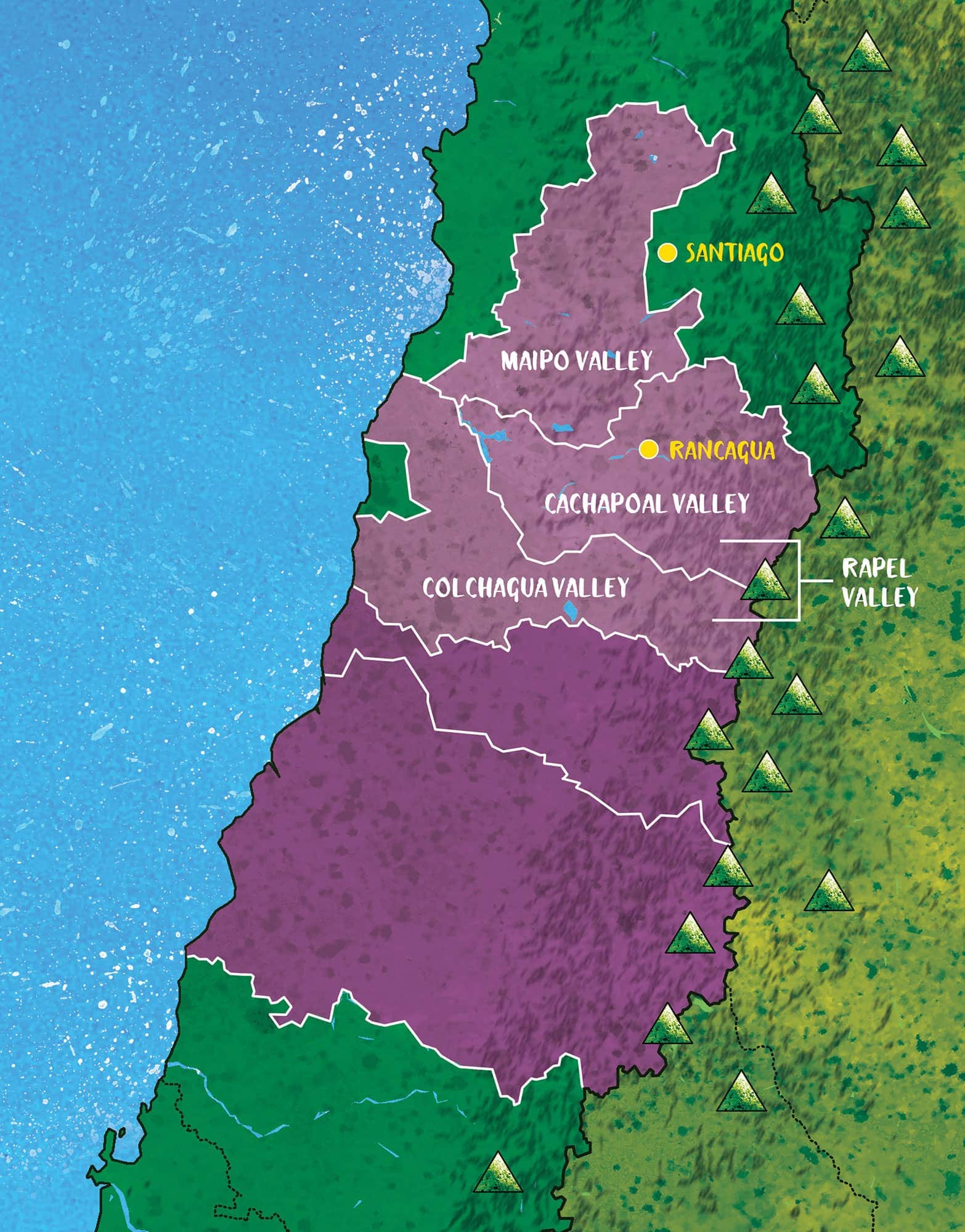 Chilean wines