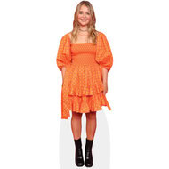 steele orange dress Francesca Dress
