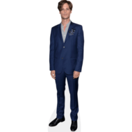 chi esce con Matthew Grey Gubler