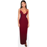 amelie zilber red dress Amelie zilber hi-res stock photography and images