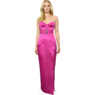 sophie turner pink dress Sophie Turner Wears a Pink Louis Vuitton Dress to 2020 SAG Awards