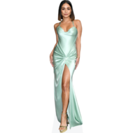 vanessa hudgens green dress Vanessa hudgens green dress