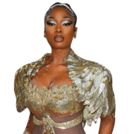 Megan Thee Stallion (Gold Dress) Half Body Buddy Cutout