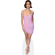 rachel zegler pink dress Rachel Zegler Shines in Pink at Academy Museum Gala