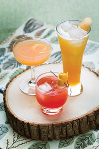 IPA Cocktails - Jeffrey Morgenthaler