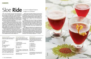 sloe gin