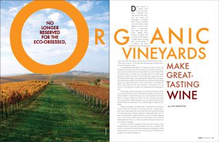 organic wine - feature