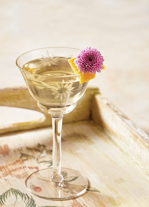 Apparent Cocktail