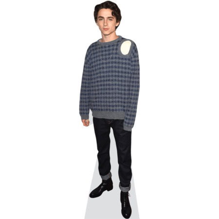 Timothée Chalamet (Topless) Half Body Buddy Cutout - Celebrity Cutouts