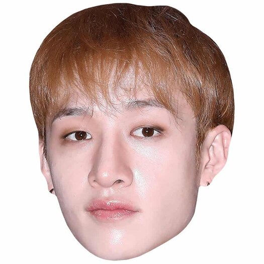 Bang Chan | Célébrtés masculnes, Célébrtés, Chanteur