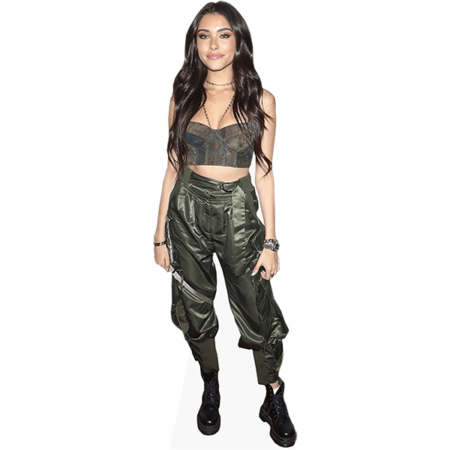 Découpage Carton Taille Réelle Madison Beer (argent) - Silhouette Mi-corps