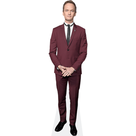 Maschera Di Cartone Neil Patrick Harris (Stubble) – Sagoma Realistica Con Elastico, Celebrity Cutouts - 3