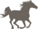 Hästforsk