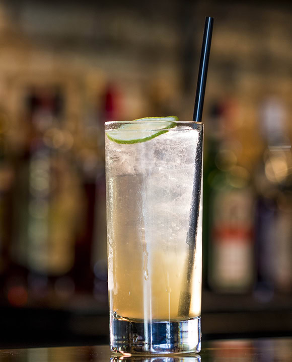 gin and tonic
