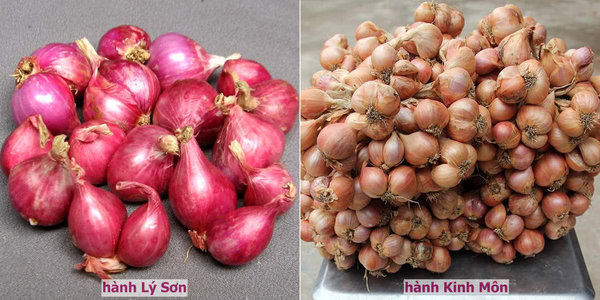 phanbiethanh